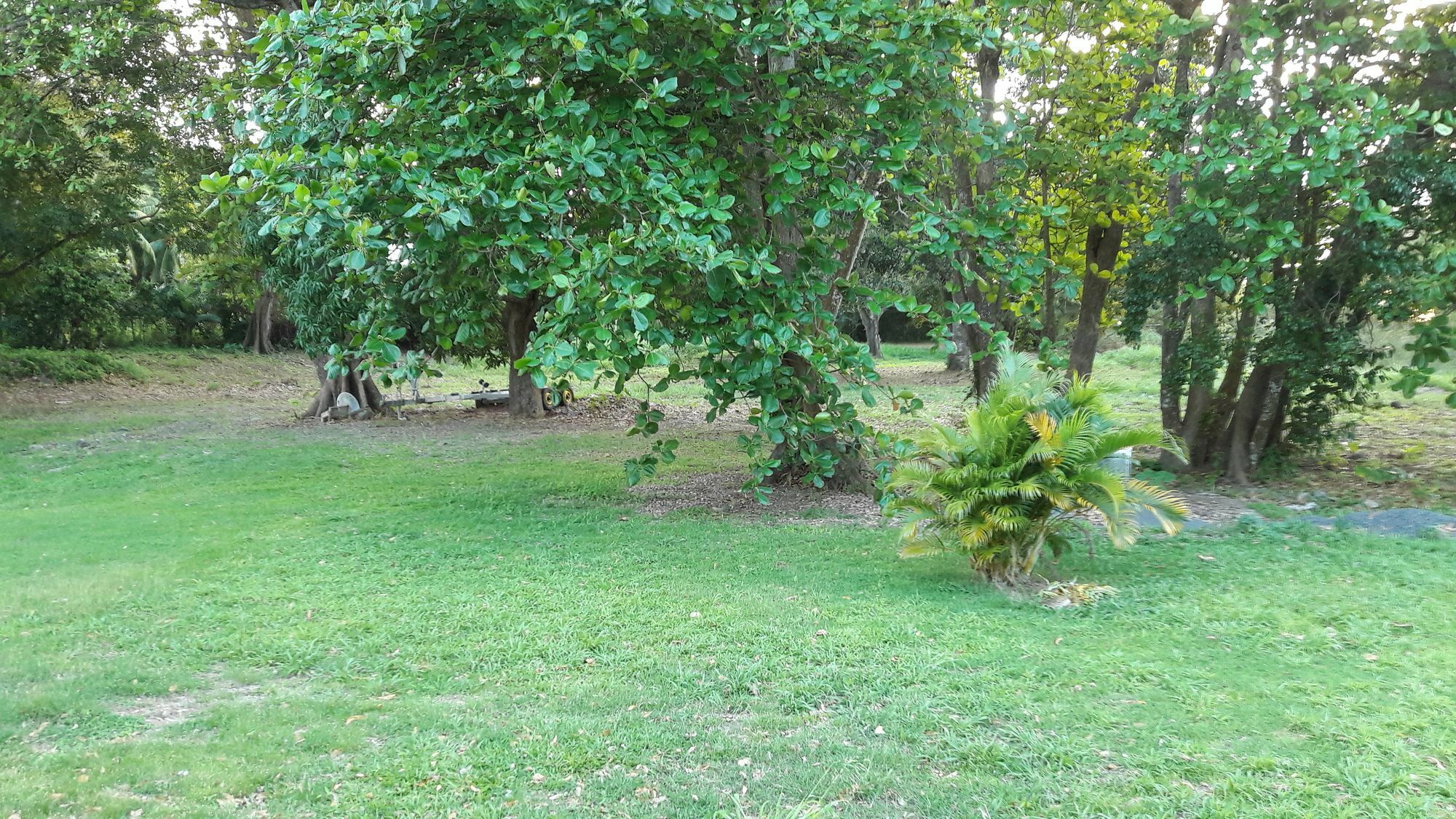 Bungalow Papaye Pointe-Noire Exterior photo